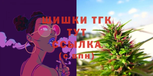 гидра Каменка