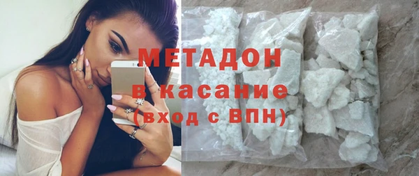 гидра Каменка
