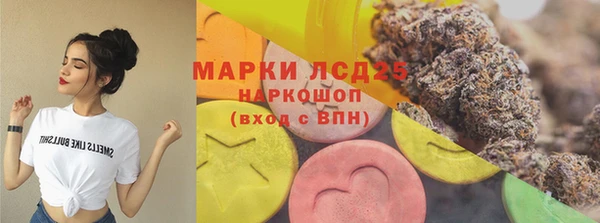гидра Каменка