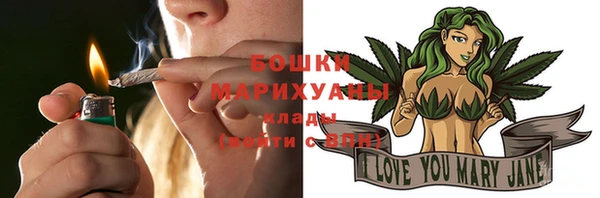 гидра Каменка