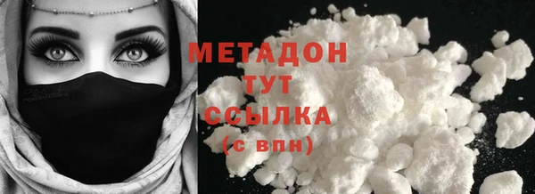 гидра Каменка
