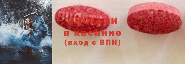 гидра Каменка