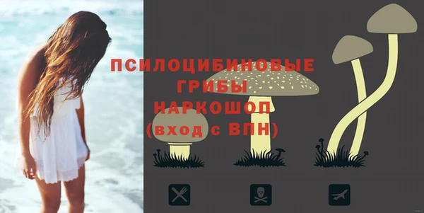 гидра Каменка