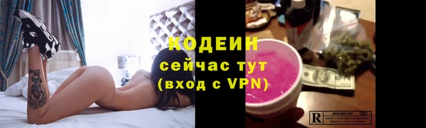 гидра Каменка