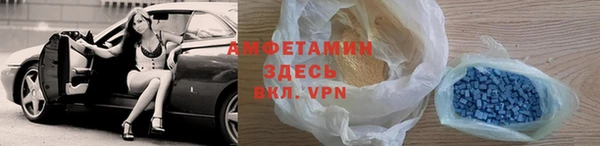 гидра Каменка