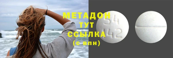 гидра Каменка