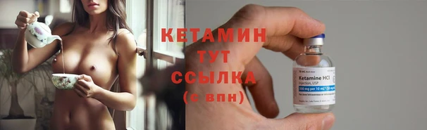 гидра Каменка