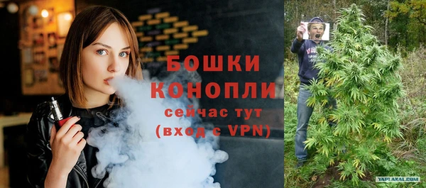 гидра Каменка