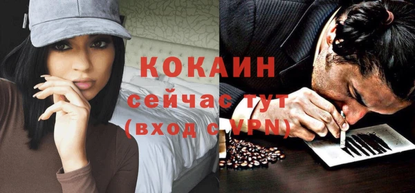 гидра Каменка