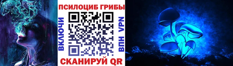 Галлюциногенные грибы мицелий  Купить где  Богучар 